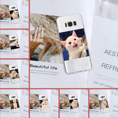 Silicone Phone Case For Samsung Galaxy S5 S6 S7 Edge S8 S9 Plus Kawaii Cat Cute Animal Sweet Back Cover For Samsung Note 9 8 5 4
