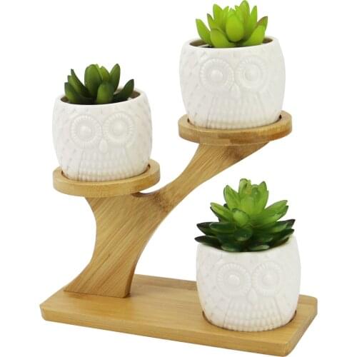 Succulent Pots Owl Small Succulent Plant Pots With Drainage And Wooden Stand Home And Garden Decorative Flower Pots Planters