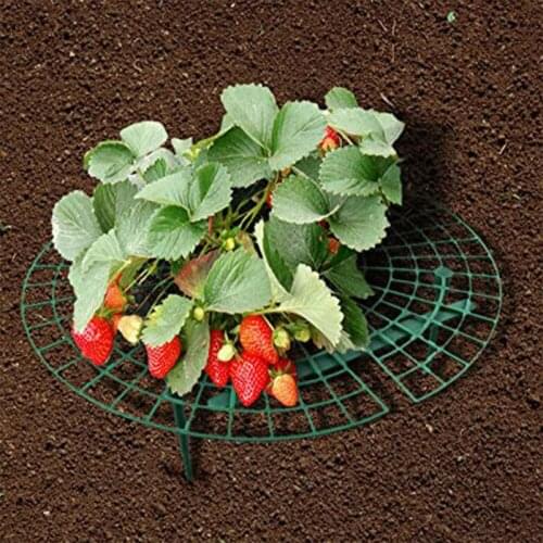 Gardening Supplies Strawberry Stand Balcony Planting Stand Plant Climbing Mini Plastic Props Gardening Stand