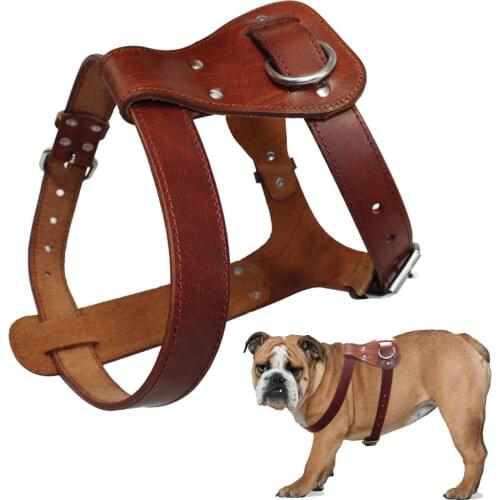 Genuine Leather Dog Harness Brown Real Leather Dogs Walking Training Vest Adjustable Straps Medium Large Pitbull Boxer Mastiff