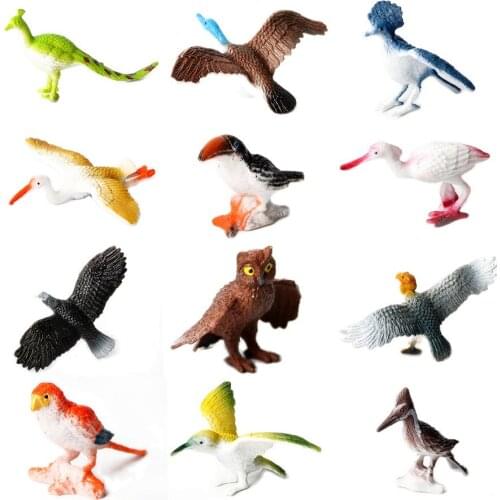 12pcs Multi-color Birds Toys Plastic Model Bird Figures,Action Figure Bird Animal Simulation PVC Model Collection Toys For Kids