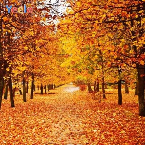 Yeele Autumn Backdrop Forest Leaves Baby Shower Kids Birthday Party Custom Photography Background For Photo Studio Photocall