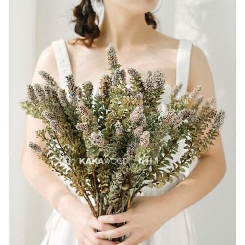 Imported Natural Dried Flower Plants with Fruit Soft Decoration Accessories Dry Bouquet Model Room Decoration Netherlands