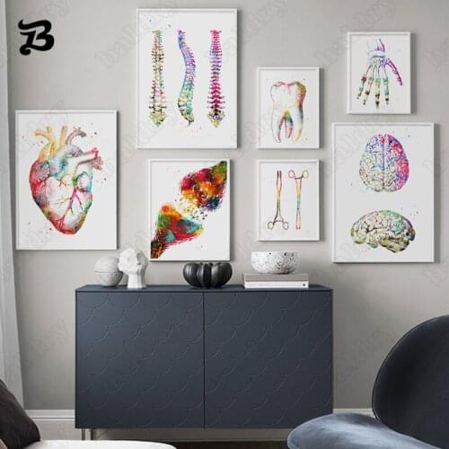 Nordic HD Human Organs Poster Wall Art Canvas Painting Human Internal Brain Organ Structure for Doctors Office Hospital Decor