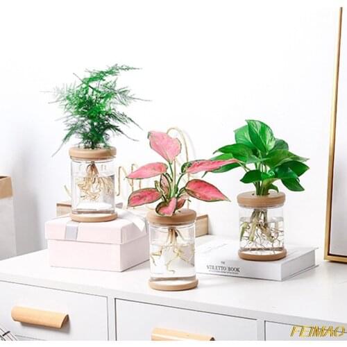 Hydroponic Plant Vases Flower Pot Transparent Vase Glass Tabletop Automatic Water Absorption Plants Vintage Home Bonsai Decor