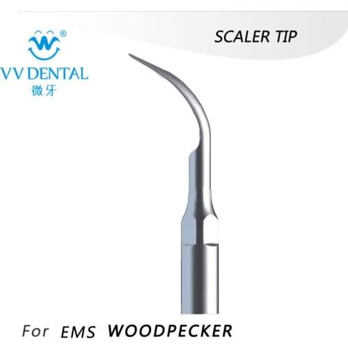 2X G2(WOODPECKER:G6, EMS:B) Woodpecker type Supragingival Scaler Tip Fit EMS WOODPECKER UDS J K M E Dental Equip