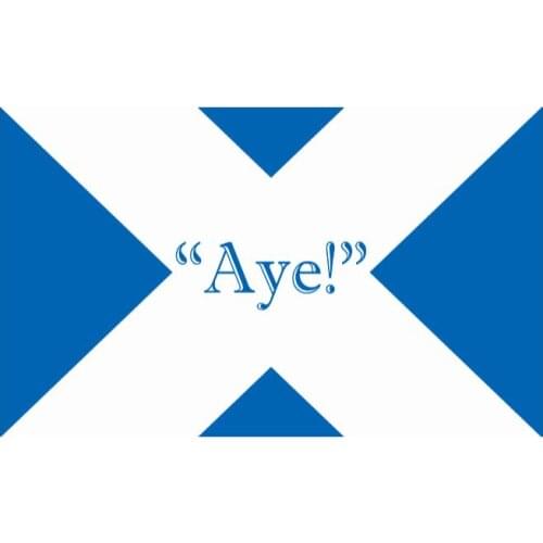 Custom 90x150cm aye Flag with grommet outdoor and indoor banner flag