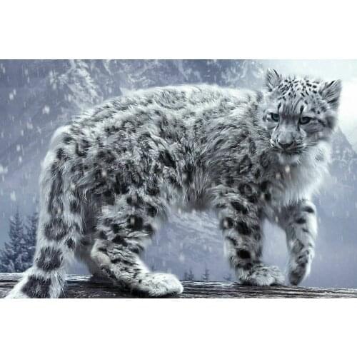 Stunning Snow Leopard Cub Animal Cat Art Film Print Silk Poster Home Wall Decor 24x36inch