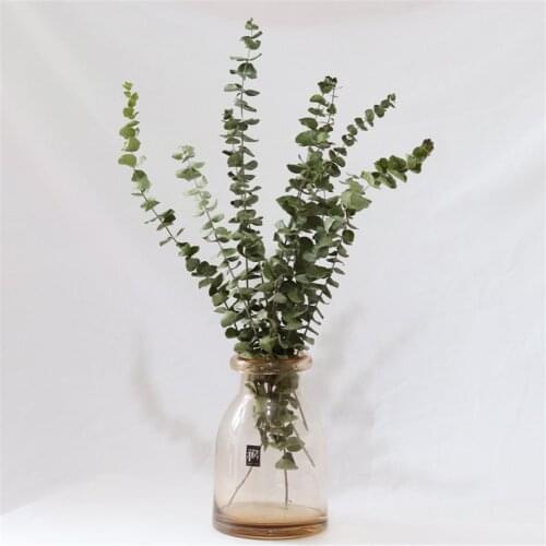 10 Stems per Bouquet Dried Natural Eucalyptus Branches Leaves Flower Arrangement Decor
