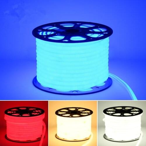 220v led neon light waterproof ip65 strip rope 2835 outdoor tape ribbon with power plug cool white red green blue pink rgb