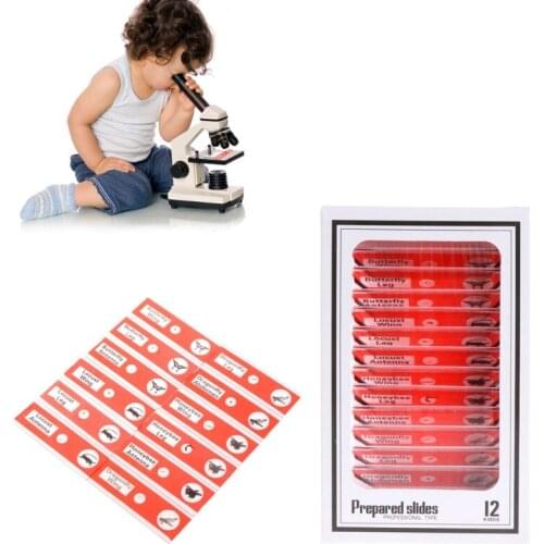 12 Pcs Prepared Microscope Slides Set Specimen For Student Basic Biology Education