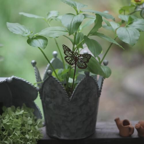 Crown design galvanized retro farmhouse old-fashioned garden hanging balcony potted plants home decoration metal iron potted