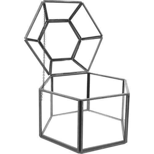 Clear Glass & Brass-Tone Metal Hinged Top Lid Terrarium Box/Tabletop Display Case