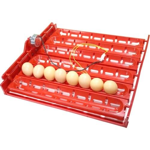 220V/110V/DC 12V Incubator Turn eggs tray Chicken Duck Goose Birds Compound Automatic incubator tray 41.7 x 43 cm