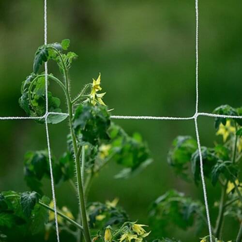 White Garden Climbing Net Garden Net Planting Net Vine Plants Traction Growth Supplies Moderate Mesh