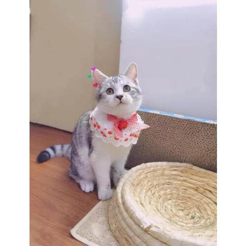 The hottest selling small fresh princess style pet dog cat bib cat head bib jewelry small dog scarf bib pet puppy cat accessorie