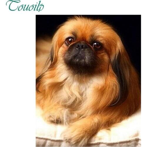 5D Diamond Embroidery Animals 5D Diamond Cross Stitch RubikS Cube Diamond Painting Puppies Picture Of Rhinestones Mosaic Kits