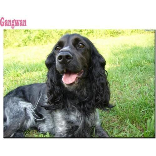 Diamond mosaic animal dog pet 5d diy diamond rhinestone painting Cocker spaniel puppy picture by numbers cross stitch room decor