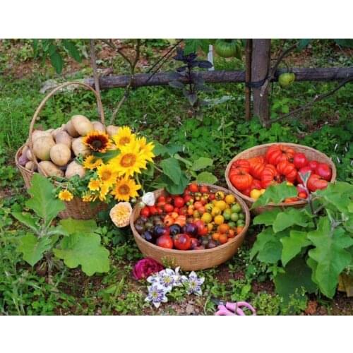 Diy Diamond painting fresh vegetables and fruits diamond embroidery full square round 5D cross stitch mosaic sale stickerZP-1954