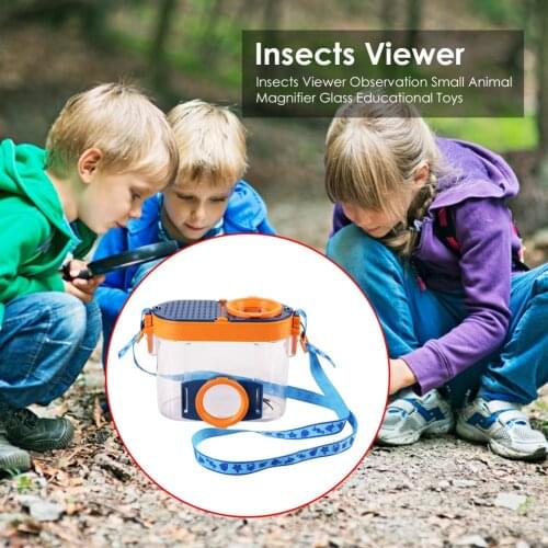 Insects Small Animal Magnifier Kids Educational Toy Magnifying Glass Spider Baby Educational Learning Study Toy Gifts