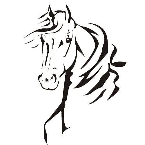 Removable Vinyl Wall Sticker Cool Horse Lovers Wall Decal Living Room Decoration Wall Mural Y-412