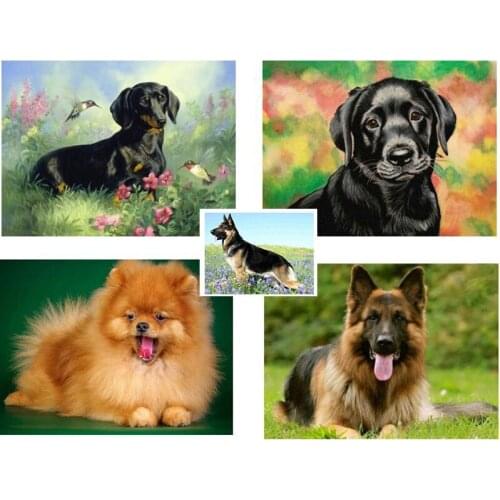 Diamond Painting Full Square Dog 5D Diy Diamond Embroidery Picture Mosaic Rhinestone Handmade Gift Home Decor