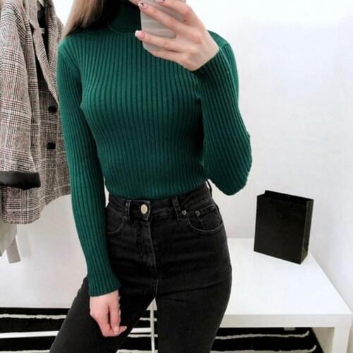 Women Sweaters Winter Autumn Turtle Neck Sweater Elastic Slim Knitted Pullover Bottoming Sweater Women Pullovers Sweaters Sweat