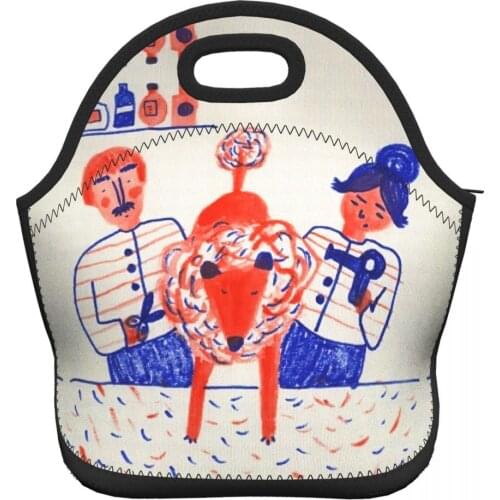 Illustration Arts Lunch Bags for Women Work Office Lunch Box Cooler Bags Girls School Lunch Bag for Picnic Hiking