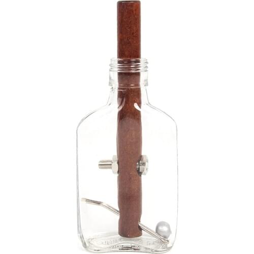 Glass Bottle Puzzle 3D Wooden Puzzles Brain Teaser Toy Children Adult Puzzle Toy For Kids Birthday Gifts