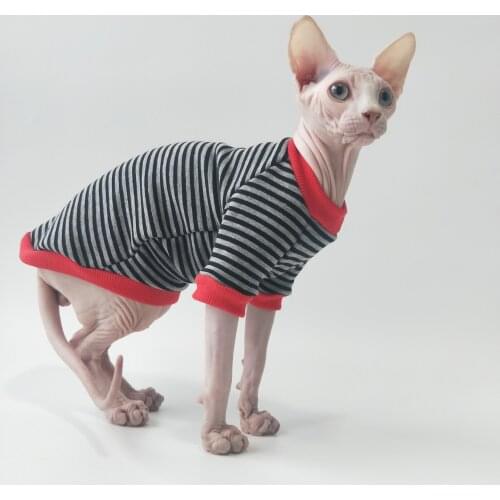 Plus fleece Sphynx hairless cat Devon plus fleece soft striped warm sweater