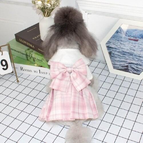2021 New Small Dog Dress Winter Cat Skirt Princess Costume Apparel Puppy Clothes Chihuahua Yorkshire Terrier Pomeranian Clothing