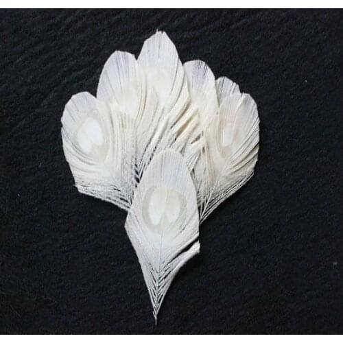 10pcs Real Peacock Feather Trimmed white peacock eye costumes Necklace earrings accessories wedding Decorative 8-12cm
