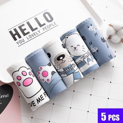 5 Pcs/lot Panties For girls Cotton Underwear Briefs student Cute Sexy Lingeries Breathable women Briefs for Female Pants