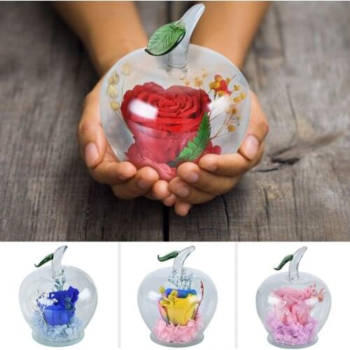 Preserved Rose Artificial Immortal Flowers In Apple-shaped Glass Dome Birthday Valentines Day Anniversary Gift for Girl Wedding