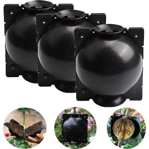 5/10pcs Plant Rooting Ball Grafting Rooting Growing Box Breeding Case Plant Root Growing Box For Garden 5/8/12cm In Diameter