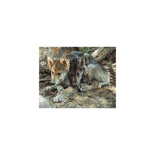 Cioioil-T253 Brotherly Love - between Wolf and Pups Painting By Number Hand Painted Oil Painting Unique For Home Decor