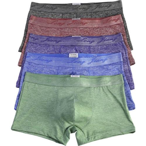 New Collection Men Boxer Shorts Underwear Soft Male Underpants Fashion Pouch Design Knickers Sexy Style