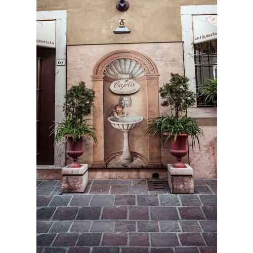 Potted Arch Angel Painting Wall Photography Studio Background Vinyl Backdrops for New Born Baby Children Photoshoot Photobooth