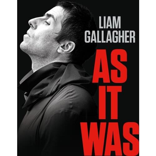 Liam Gallagher: As It Was - Movie Art Silk Poster Print 24x36inch