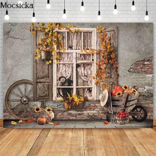 Autumn Backdrop Vintage Dilapidated Wall Window Fall Kids Backgrounds for Photography Studio Pumpkin Black Cat Decoration Banner
