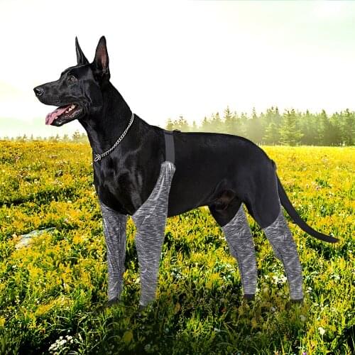 Dog Outdoor Boxer Shorts High Elasticity Adjustable Dog Four-legged Trousers Waterproof, Dirt-proof and Urine-proof Dog Clothes