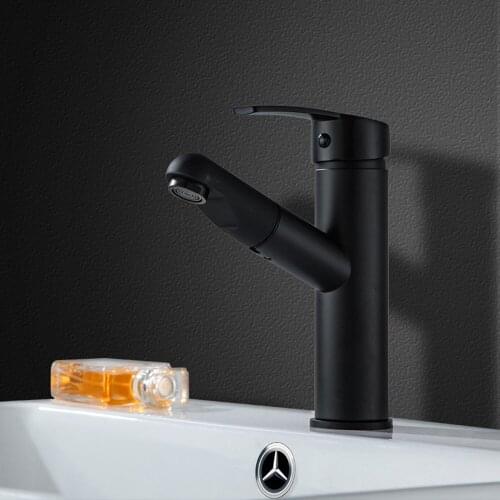 TP 8013 Stainless steel pull-type hot and cold tap basin washbasin washbasin rotating black basin toilet retractable