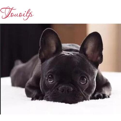 New arrival Diamond painting French bulldog puppy crystal embroidery beads 5d full square round cross stitch kit handwork mosaic
