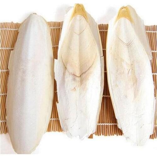 5/10/20PCS Cuttlefish Bone Parrot Chew Toy For Pet Budgie Birds Reptiles Tortoise Pet Calcium Health Care Products