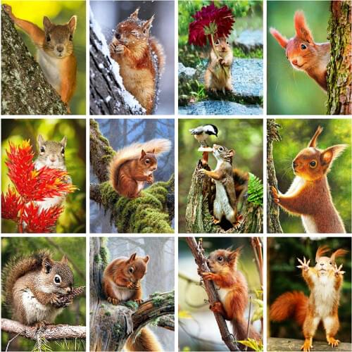 Evershine Full Square Drill 5D DIY Diamond Painting Squirrel Animals Diamond Embroidery Cross Stitch Kit Home Decoration Art