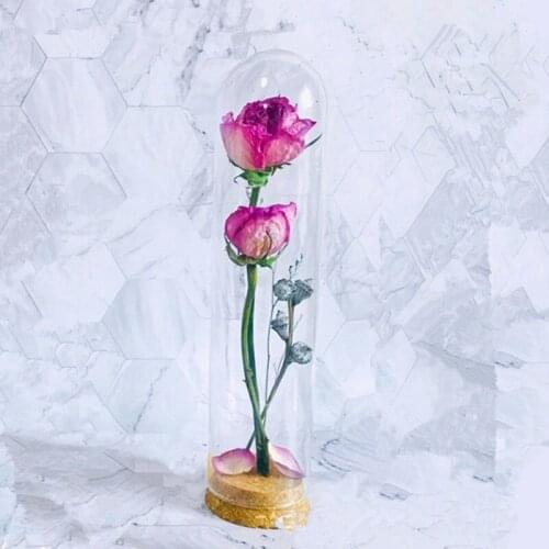 Free Shipping 4sets/pack 5*28cm Tube Glass Dome Home Wedding Decoration Diameter=5cm Height=28cm Glass Cover Friend Gift