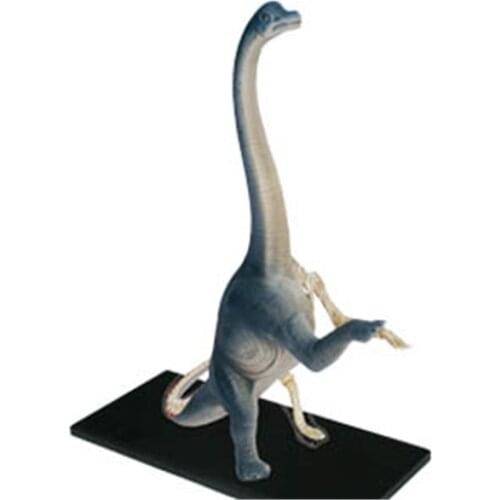 42pcs Children Dinosaur Puzzle Assembly Toys Brachiosaurus Organ Skeleton Anatomy Medical Teaching Aids Model Building Kits