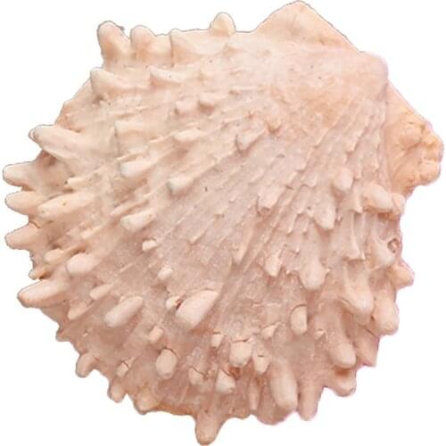 Conch shell Shape 3D fondant cake silicone mold food grade mastic confeitaria chocolate pastry candy making decoration tool 1041