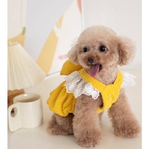 Autumn Winter Dog Dress Puppy Small Dog Skirt Costumes Chihuahua Yorkies Clothing Pomeranian Shih Tzu Maltese Poodle Pet Clothes