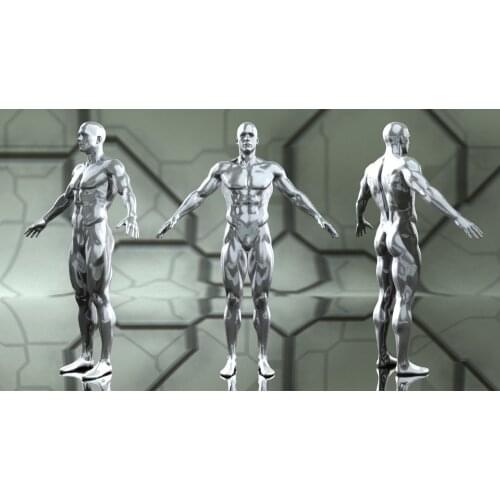 Silver Cosplay Costume 3D Printed Spandex Zentai Silver suit Halloween Catsuit Custom Made Only Bodysuit